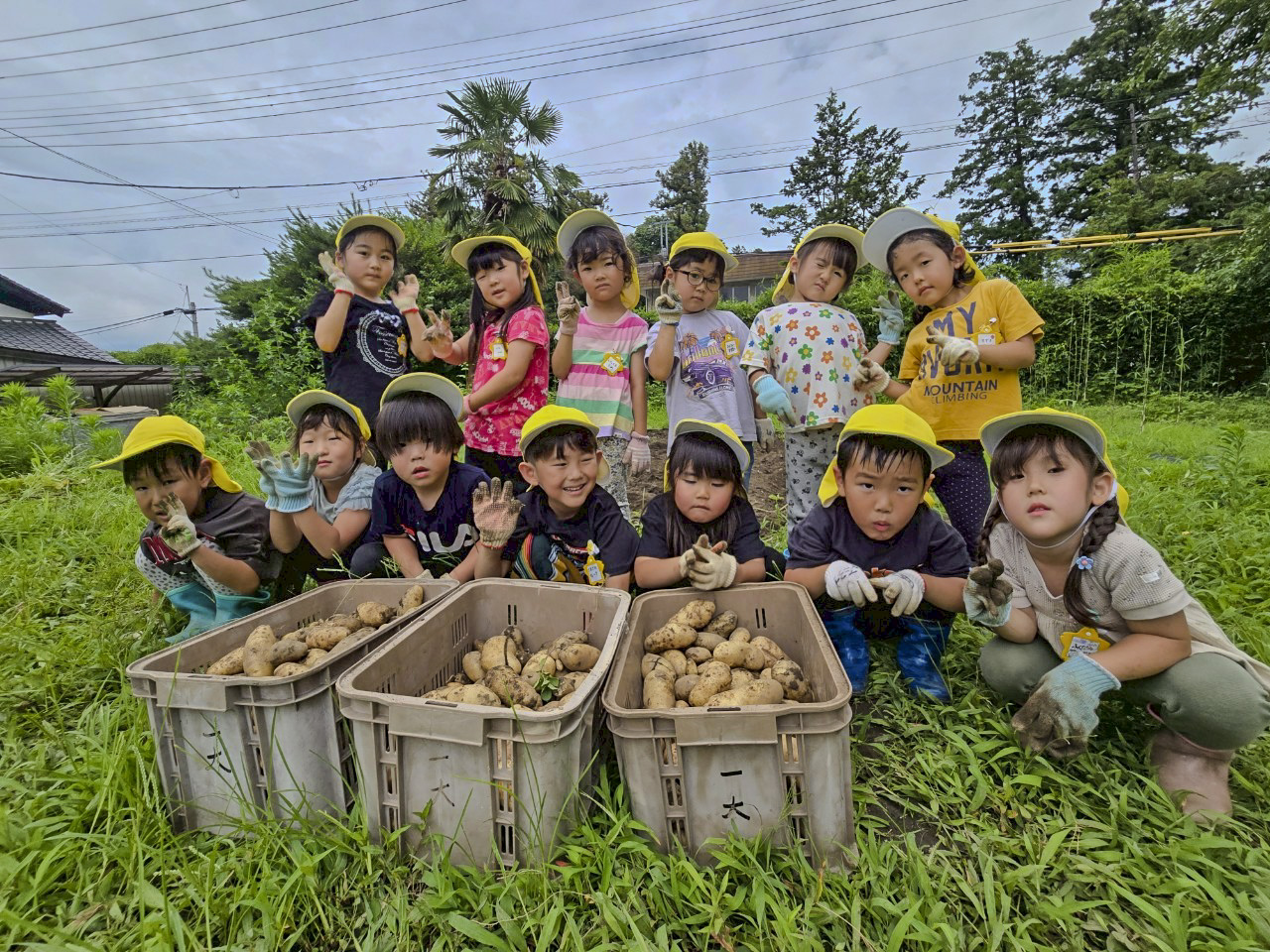 収穫した野菜の前で写真を撮るこども