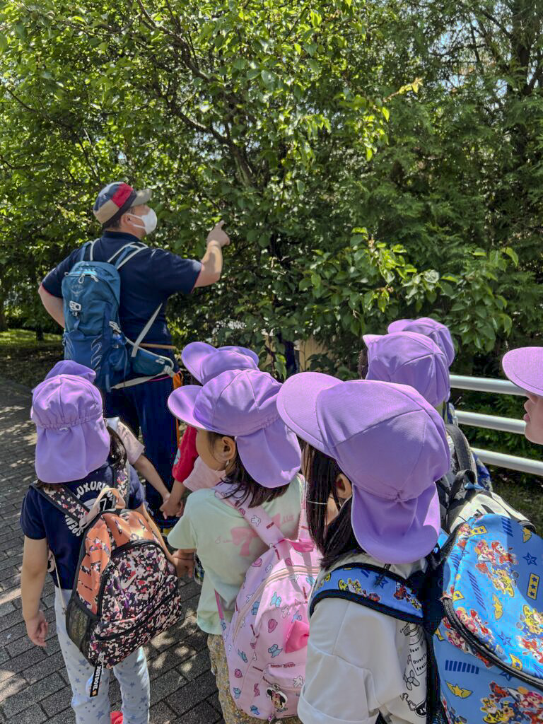 園外活動をするこどもの写真